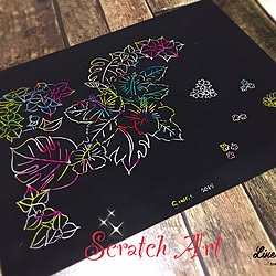 棚/いいね&コメント嬉しいです❤️/scratch art♥︎/cherry ちゃん♥︎/RCのみんな大好き(*´艸`)❤️...などのインテリア実例 - 2017-01-06 20:04:42