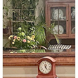 リビング/鏡の中の世界/わが家の好きな風景/花のある暮らし/植物のある暮らしのインテリア実例 - 2024-05-15 11:00:12