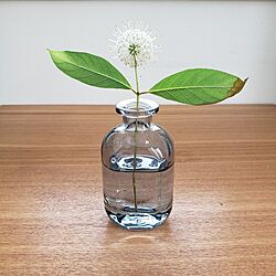 小さな花瓶/100均/Daiso/セファランサス/ベッド周りのインテリア実例 - 2023-07-12 15:11:39