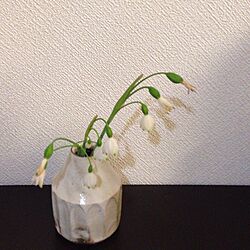 机/陶器/植物のインテリア実例 - 2013-12-15 10:14:52