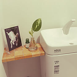 バス/トイレ/犬写真/トイレタンク横/観葉植物/雑貨...などのインテリア実例 - 2018-10-02 14:23:49