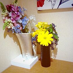 玄関/入り口/お花たち/植物/100均/雑貨...などのインテリア実例 - 2013-03-24 15:55:25