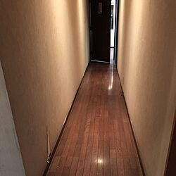 玄関/入り口/リノベーション中/廊下のインテリア実例 - 2016-11-05 09:15:59
