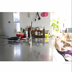キッチン/掃除/二階リビング/トーヨーキッチン/猫...などのインテリア実例 - 2016-01-14 10:02:39