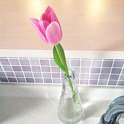 キッチン/お花のインテリア実例 - 2014-04-01 17:02:00
