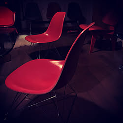 mid century modern/イームズ/Eames/ハーマンミラー/hermanmiller...などのインテリア実例 - 2019-12-28 09:39:30