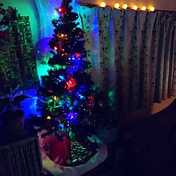 リビング/クリスマスツリー☆/ボストンテリアのインテリア実例 - 2016-11-03 00:25:57