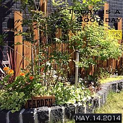 玄関/入り口/green/ステンシル/しゃれとんしゃあ会/植物...などのインテリア実例 - 2014-05-14 09:28:03
