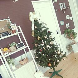 部屋全体/クリスマスツリー♡のインテリア実例 - 2014-11-20 12:41:58