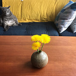 雑草を飾る/机/花瓶/花のある暮らしのインテリア実例 - 2020-04-27 16:38:29