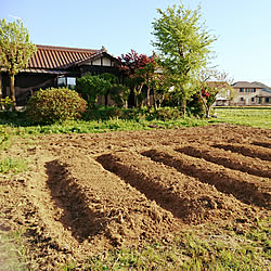 玄関/入り口/古民家/田舎暮らし/植物/植物のある暮らし...などのインテリア実例 - 2019-05-02 18:55:08