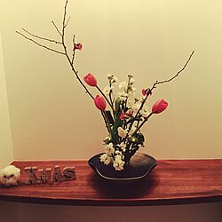 玄関/入り口/花器/グリーンのある暮らし/和/木瓜の花...などのインテリア実例 - 2016-12-01 01:45:53
