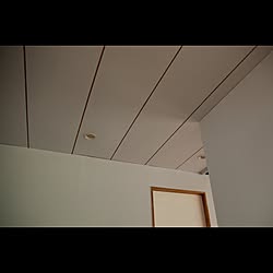 壁/天井/DIY/グレー/ダウンライトのインテリア実例 - 2016-12-02 23:56:01