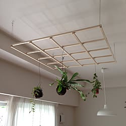 壁/天井/DIY/観葉植物/IDEE 照明/IDEE...などのインテリア実例 - 2015-11-08 19:14:00