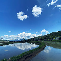 田舎の風景/窓からの風景/田舎の暮らし/和の家/和が落ち着く...などのインテリア実例 - 2020-05-24 23:02:18