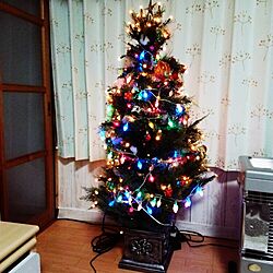 リビング/クリスマスのインテリア実例 - 2014-12-14 22:15:47