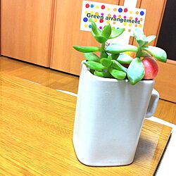 机/室内グリーン/植物/多肉植物のインテリア実例 - 2012-11-06 07:19:19
