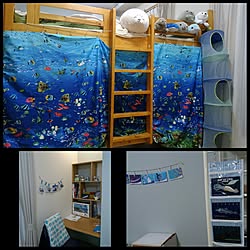 部屋全体/入居後/あざらし/三男くんの机/水族館の部屋にする～！...などのインテリア実例 - 2017-03-26 11:39:34