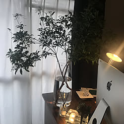 IKEA/植物のある部屋/シンプルインテリア/机のインテリア実例 - 2020-09-13 17:02:43
