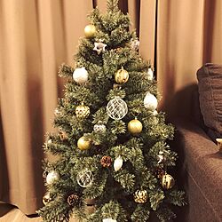 リビング/クリスマスツリーのインテリア実例 - 2016-12-06 20:58:08