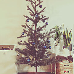 クリスマスツリー/IKEA/リビングのインテリア実例 - 2020-11-03 23:20:51