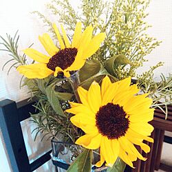 棚/ひまわり/向日葵/Sunflower/RC湘南...などのインテリア実例 - 2016-04-15 08:13:14