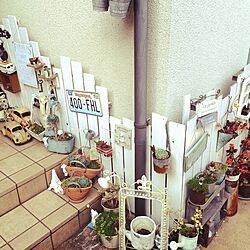 壁/天井/多肉植物/DIY/ハンドメイド/雑貨のインテリア実例 - 2014-05-16 23:20:04