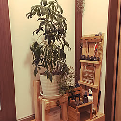 DIY/観葉植物/玄関/入り口のインテリア実例 - 2021-01-19 17:51:49