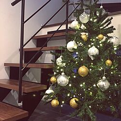 玄関/入り口/クリスマスツリー/クリスマス/鉄骨階段/お久しぶりですのインテリア実例 - 2016-11-17 16:45:28
