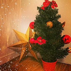 リビング/シンプル/クリスマスディスプレイ/クリスマスツリー/クリスマス...などのインテリア実例 - 2015-11-16 12:24:23
