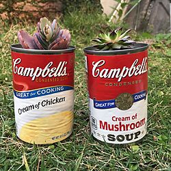 Campbell's Soup can /リメ缶/レトロ/多肉植物/観葉植物のインテリア実例 - 2017-01-01 12:49:46