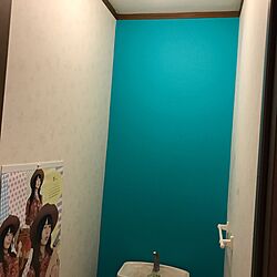 バス/トイレ/DIY/改装中/ターコイズブルーの壁のインテリア実例 - 2017-03-25 12:47:49