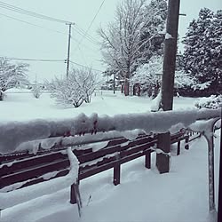 壁/天井/電柱/雪国/同じような写真ばかりで、ごめんなさい…/今朝の1枚...などのインテリア実例 - 2016-12-17 07:56:39