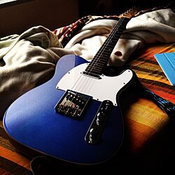 ベッド周り/楽器/ギターのインテリア実例 - 2013-11-07 15:47:19
