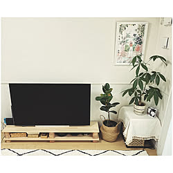 テレビボードDIY/テレビ台DIY/ゴムの木/賃貸アパート/2LDK賃貸アパート...などのインテリア実例 - 2021-11-11 11:51:11