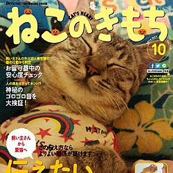 猫のインテリア実例 - 2015-04-27 21:12:09
