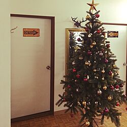 玄関/入り口/クリスマスツリーのインテリア実例 - 2015-12-14 07:18:17