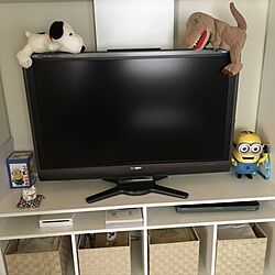 棚/TVボード/IKEA/ピッタリサイズの引き出し欲しいのインテリア実例 - 2017-03-29 11:04:46