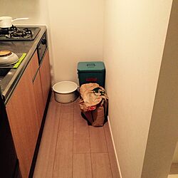 キッチン/MERCURY/野田琺瑯洗い桶のインテリア実例 - 2015-04-19 21:57:43
