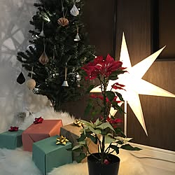 クリスマス☆/プレゼント♡/ポインセチア♡/IKEA/クリスマスツリーのインテリア実例 - 2016-12-25 00:02:30