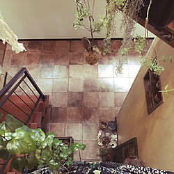 サンワカンパニータイル/床材/観葉植物/階段室/壁/天井のインテリア実例 - 2022-05-13 08:17:43