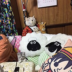 壁/天井/ごちゃごちゃ/猫のぬいぐるみ/猫のいる部屋/Manhattaner’s...などのインテリア実例 - 2016-12-09 18:59:31