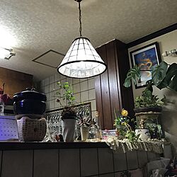 キッチン/照明/観葉植物のインテリア実例 - 2016-11-13 21:59:55