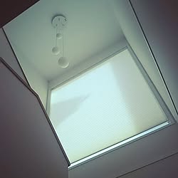 壁/天井/階段/照明/ハニカムシェードのインテリア実例 - 2017-02-06 22:06:27