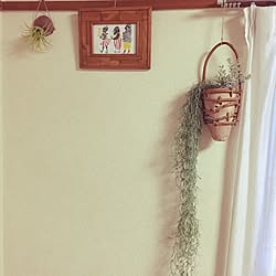 壁/天井/いなさうるす屋さん/北欧/観葉植物/ニコアンドの雑貨...などのインテリア実例 - 2017-04-02 17:48:35