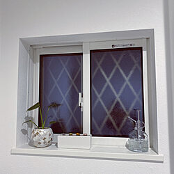 お風呂場の窓/窓/ナチュラル/観葉植物/IKEA...などのインテリア実例 - 2022-12-30 05:31:42
