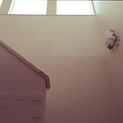 壁/天井/漆喰/サンキライ/階段のインテリア実例 - 2015-02-25 09:55:38