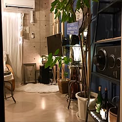 部屋全体/IKEA/アンティーク/観葉植物/照明...などのインテリア実例 - 2017-03-20 22:17:58