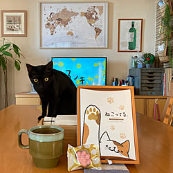 コーヒー/IKEA/黒猫/ねこが好き/おもしろい...などのインテリア実例 - 2022-01-21 08:10:32