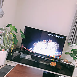 リビング/テレビ/観葉植物のある暮らし/BRAVIA 55/アウトレット品...などのインテリア実例 - 2019-06-22 17:23:25